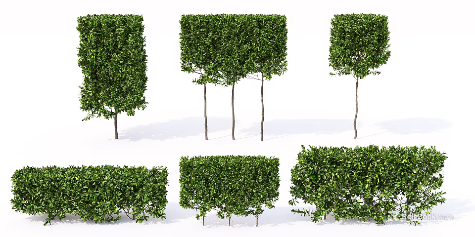 Lush Green Shrubs In Various Shapes For Garden Landscape Decoration 3d model 