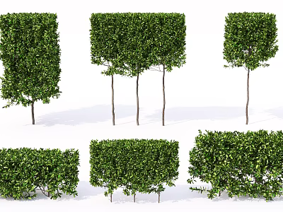 Lush Green Shrubs In Various Shapes For Garden Landscape Decoration 3d model