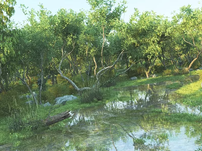 Natural waterscape 3d model