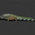 Vibrant Orange And Green Iguana With Spiny Crest Striped Tail And Sharp Claws 3d model