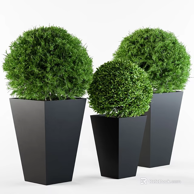 Three Round Green Topiary Plants in Black Decorative Garden Planters 3d model