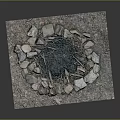 Natural Stone Circle With Wood Logs And Ash For Outdoor Campfire