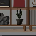 Green Cactus Potted Plant in Clay Pot for Indoor Decoration on Dark Background