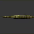 Aquatic Animal Pike Fish With Yellow Green Patterned Slender Body Fins Tail Dark Background Reflection