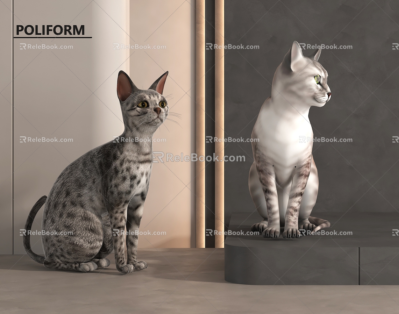 Cat Pet Cat 3d model