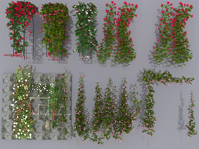 Beautiful Red White Flowering Vines Climbing Wall Arch Fence Garden Decorative Plants 3d model