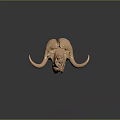 High Quality Professional Medical Device Bovine Skull Skeletal Model with Detailed Structure for Educational Training