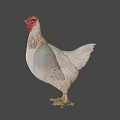 Game Movie Character White Chicken With Red Comb And Green Background