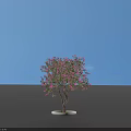 Arbor with Pink Flowers in Round White Pot and Green Grass on Dark Blue Background