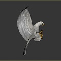 Eagle Large Eagle Owl Raptor Falcon Bird Bird Bird Animal Game Animal 3d model