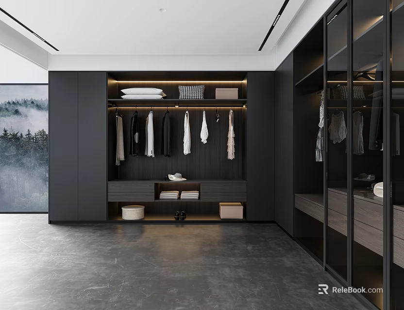 Modern Walk in Closet Interior With Black Cabinets Glass Doors Hanging Clothes And Storage Boxes 3d model 