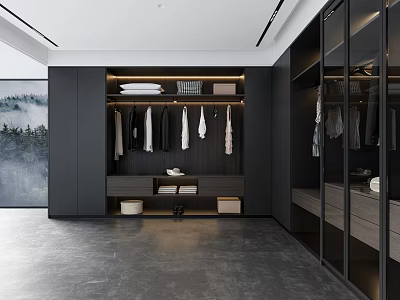 Modern Walk in Closet Interior With Black Cabinets Glass Doors Hanging Clothes And Storage Boxes 3d model