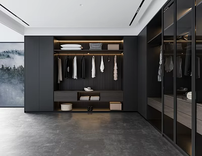Modern Walk in Closet Interior With Black Cabinets Glass Doors Hanging Clothes And Storage Boxes 3d model