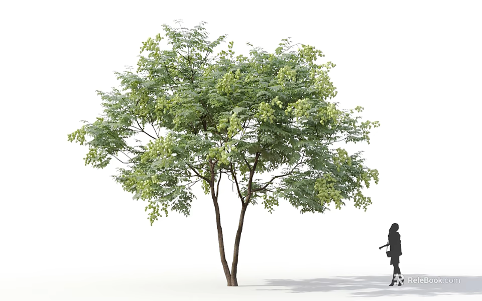 Lush Green Leafy Arbor Tree With Dense Foliage And Girl Silhouette Walking Nearby 3d model 