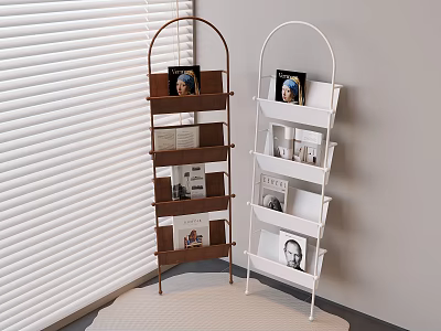 Brown And White Modern Bookshelves With Books And Photo Frames In Room Corner 3d model