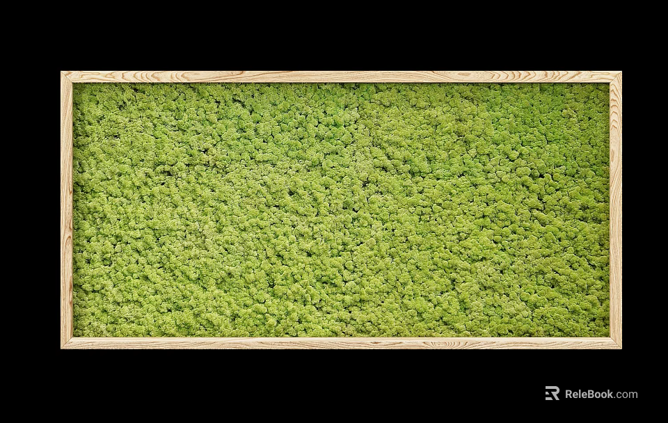 Natural Moss Green Wall With Wooden Frame For Interior Decoration 3d model 