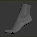 Two Sleek Silver Metallic Foot Models With Smooth Texture And Dark Background Reflections