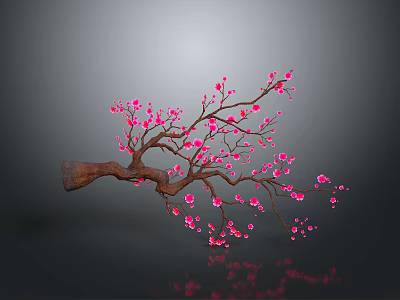 Delicate Branch With Pink Flowers And Reflection On Gray Background 3d model