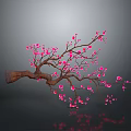 Delicate Branch With Pink Flowers And Reflection On Gray Background 3d model