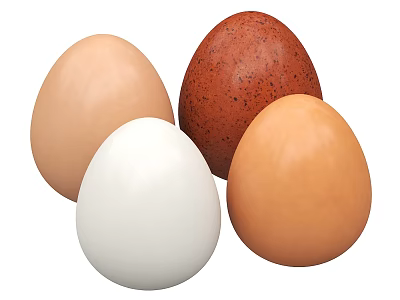 Fresh Different Colored Chicken Eggs White Light Brown And Spotted Dark 3d model