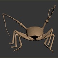 Modern Beetle Buffalo Beetle Scarab 3d model