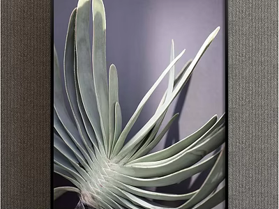 Botanical Painting Green Leafy Plant with Long Slender Leaves Black Frame Gray Background 3d model