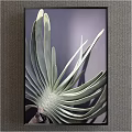 Botanical Painting Green Leafy Plant with Long Slender Leaves Black Frame Gray Background