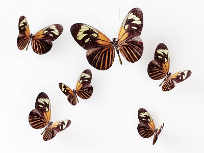 Multiple Flying Brown And Yellow Striped Butterflies On White Background 3d model