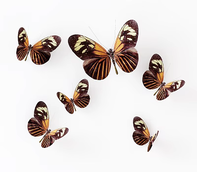 Multiple Flying Brown And Yellow Striped Butterflies On White Background 3d model