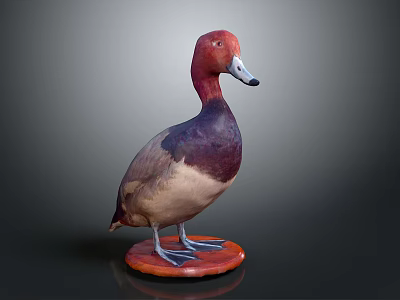 Detailed Taxidermy Duck Stuffed Bird on Orange Wooden Base Against Dark Background 3d model