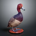 Detailed Taxidermy Duck Stuffed Bird on Orange Wooden Base Against Dark Background