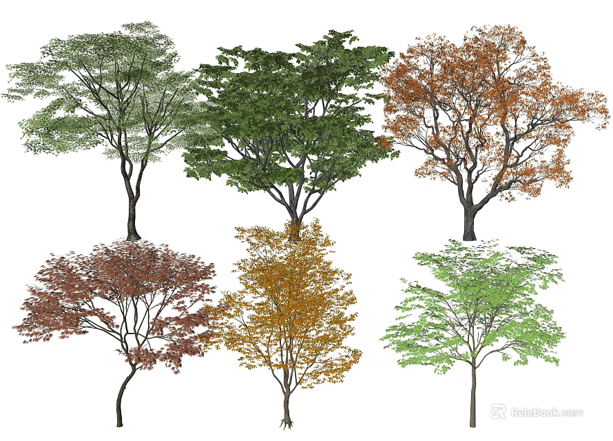Diverse Tree Varieties with Multiple Foliage Colors and Natural Shapes 3d model 