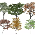 Diverse Tree Varieties with Multiple Foliage Colors and Natural Shapes 3d model