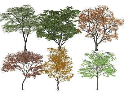 Diverse Tree Varieties with Multiple Foliage Colors and Natural Shapes 3d model