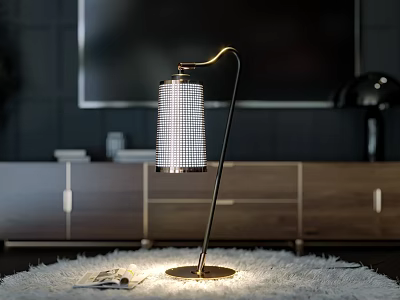 Modern Floor Lamp With Mesh Shade On Fluffy Rug 3d model