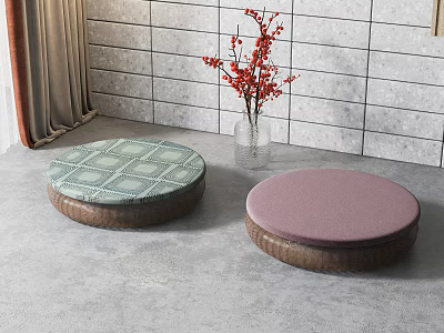 Two Round Cushions With Different Designs In Room 3d model