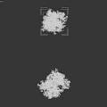 Two Trees With Green Leaves And Tree Trunks Against Gray Background
