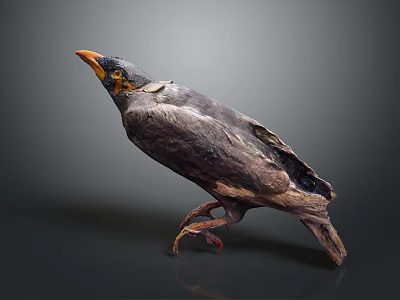 Detailed Bird Figure With Damaged Feathers Orange Beak Claws And Gray Background 3d model