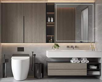 Bathroom Cabinet Bathroom Cabinet Mirror Cabinet Smart Toilet 3d model