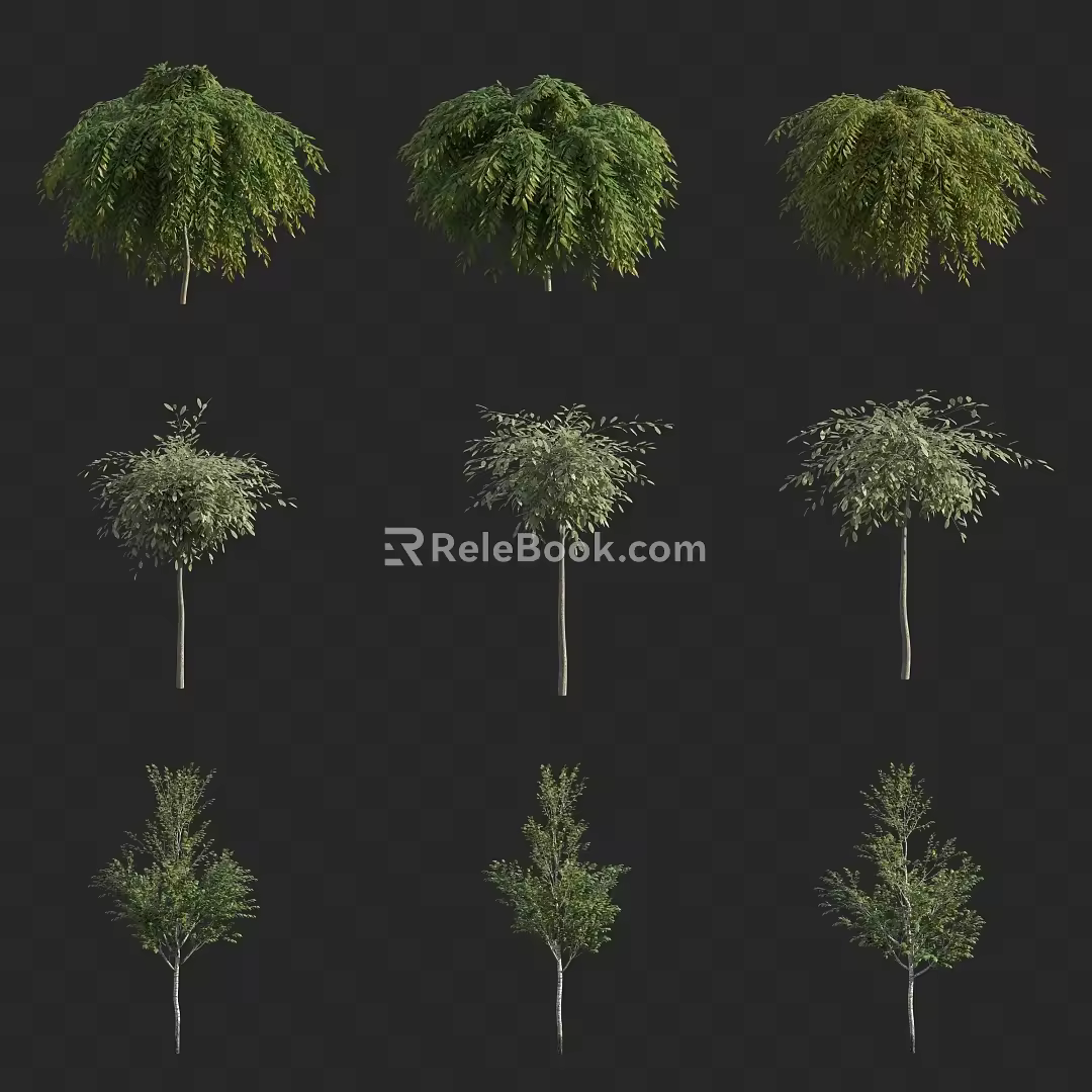 landscape trees street trees small trees shrubs 3d model