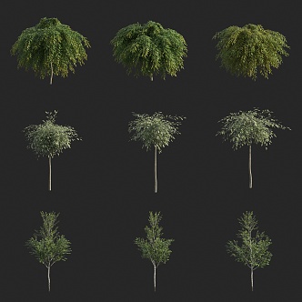 landscape trees street trees small trees shrubs 3d model