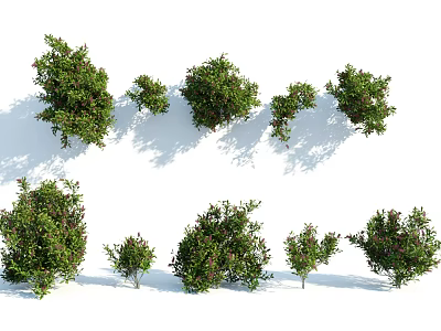 Various Green Leafy Bushes in Different Sizes for Garden Landscaping Projects 3d model