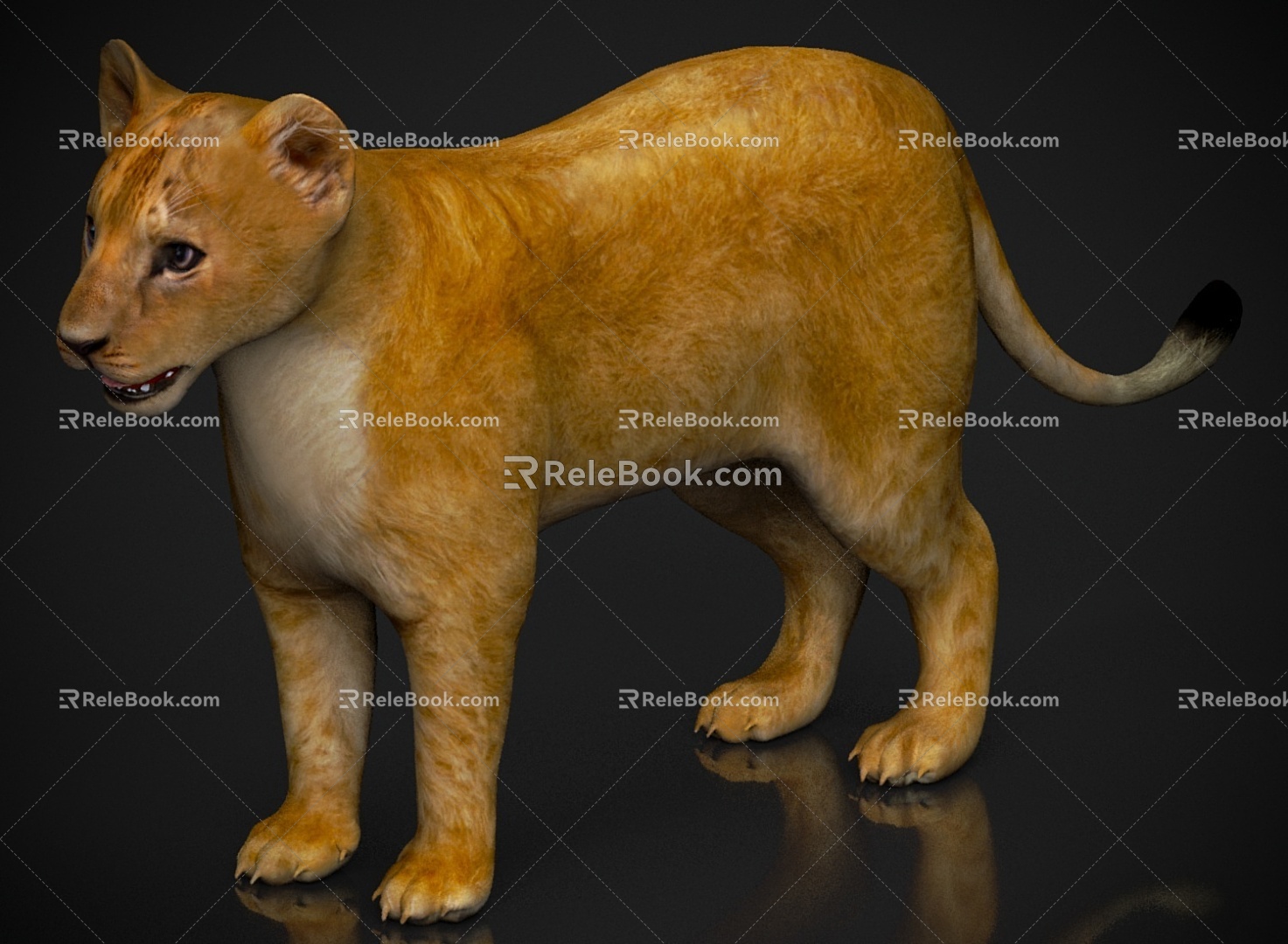 Zoo Wild Animals Beast Beast Creatures Lion 3d model