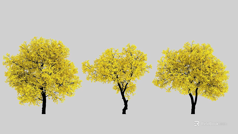 Three Arbor Trees With Bright Yellow Leaves Isolated On Gray Background 3d model