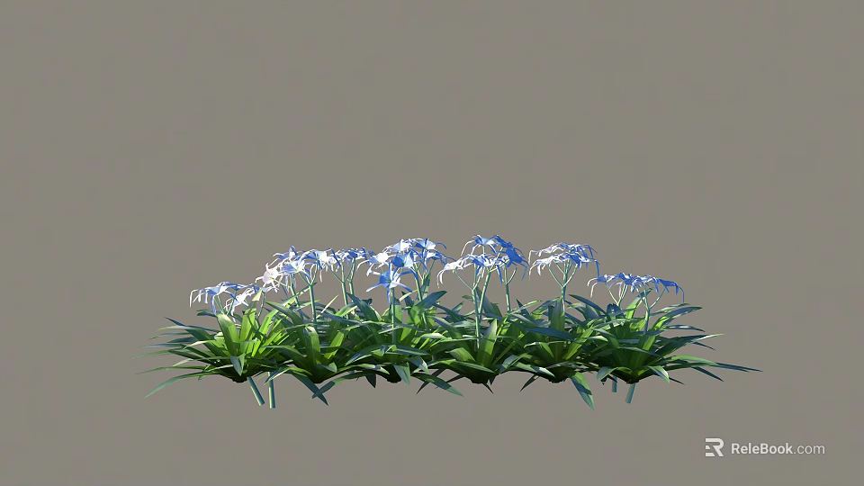 Blooming Shrub With Blue Flowers And Green Leaves In Garden Setting 3d model 