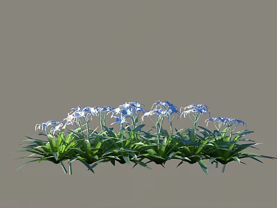 Blooming Shrub With Blue Flowers And Green Leaves In Garden Setting 3d model