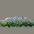 Blooming Shrub With Blue Flowers And Green Leaves In Garden Setting