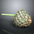 Unique Thorny Plant With Green Stem And Scaly Structure On Dark Background