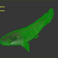 Colorful Iridescent Fish with Purple Green Scales and Streamlined Body on Dark Background