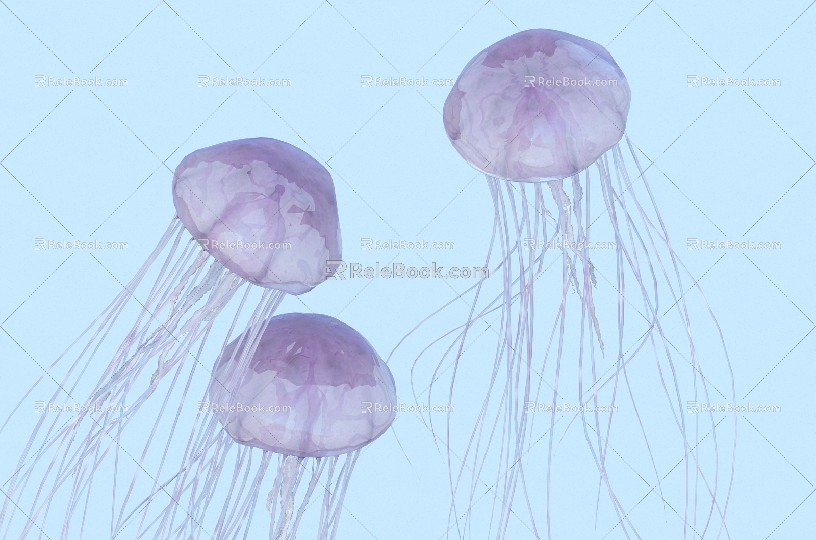 Jellyfish Luminous Jellyfish Marine Life Underwater World 3d model